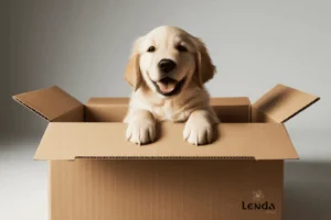 ALIMENTACIÓN PARA TUS MASCOTAS